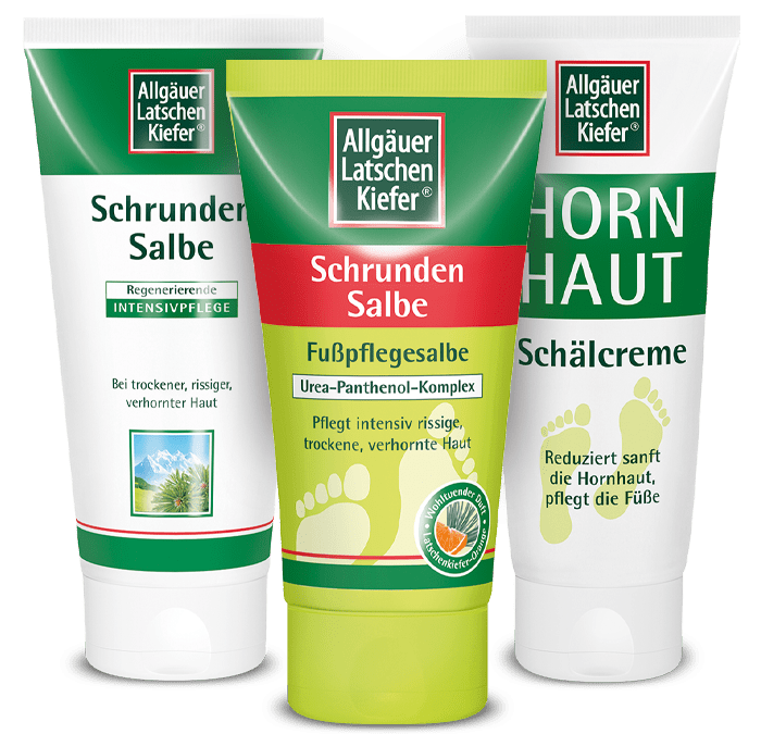 Allgäuer Latschen Kiefer